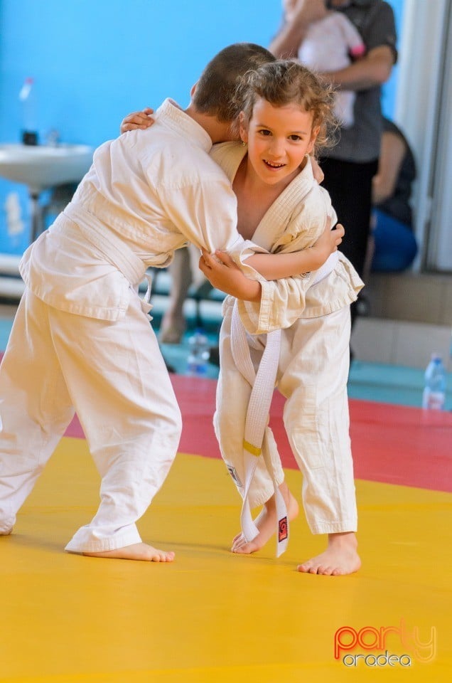 Micii judoka la Examen de Mon, Liceul cu Program Sportiv