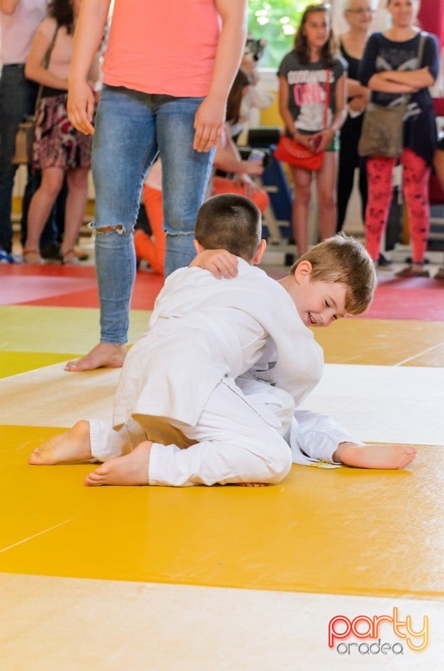 Micii judoka la Examen de Mon, Liceul cu Program Sportiv