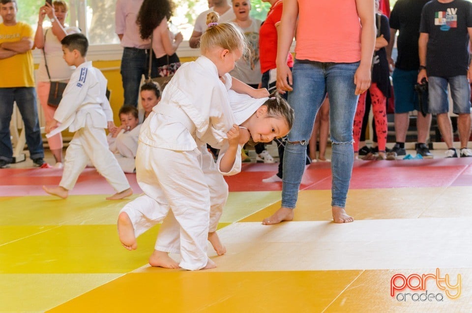 Micii judoka la Examen de Mon, Liceul cu Program Sportiv