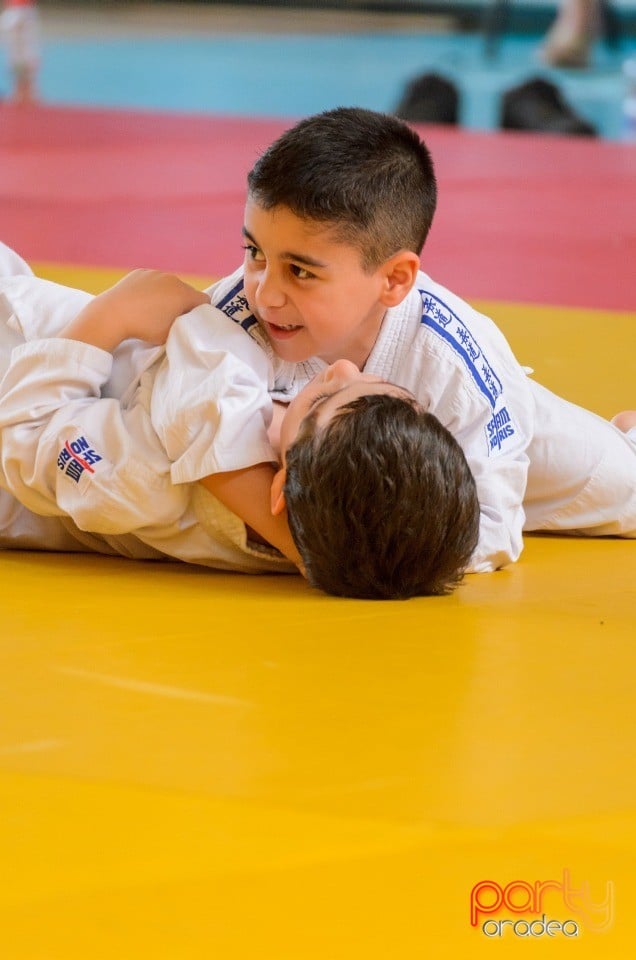 Micii judoka la Examen de Mon, Liceul cu Program Sportiv