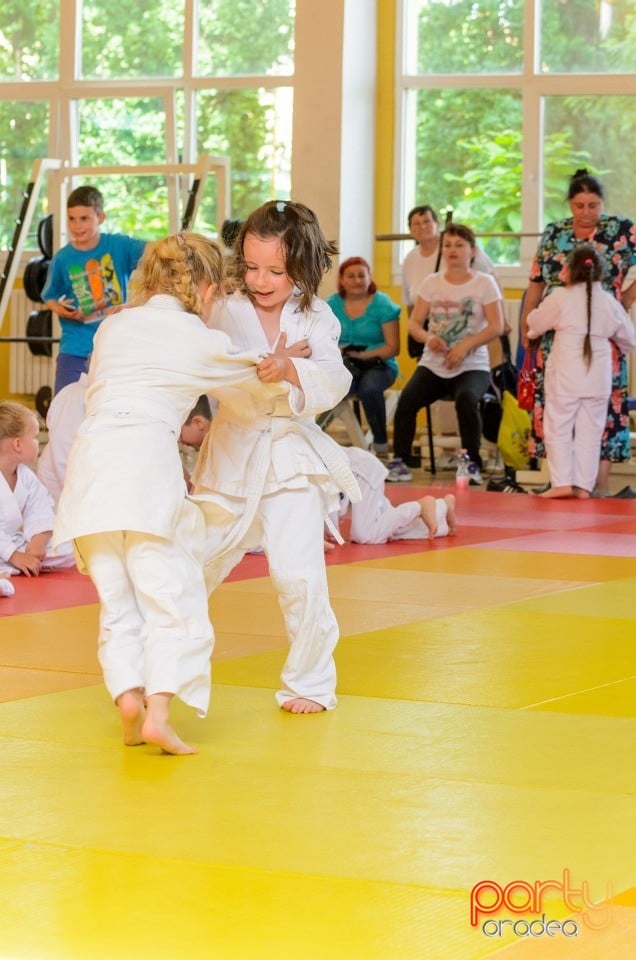 Micii judoka la Examen de Mon, Liceul cu Program Sportiv