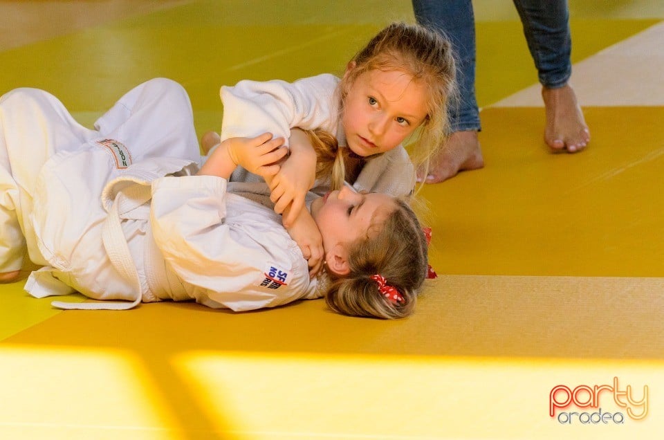 Micii judoka la Examen de Mon, Liceul cu Program Sportiv