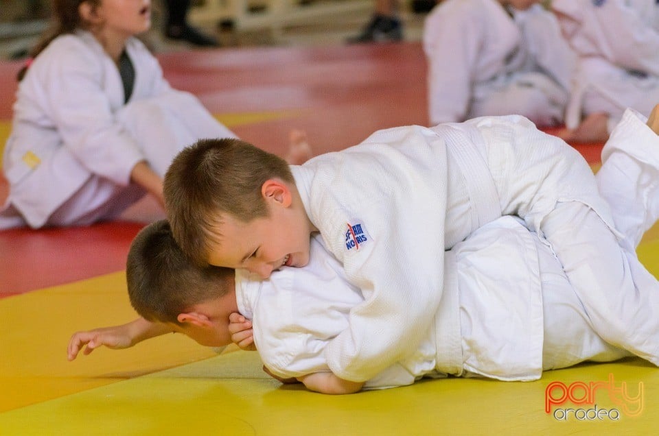 Micii judoka la Examen de Mon, Liceul cu Program Sportiv