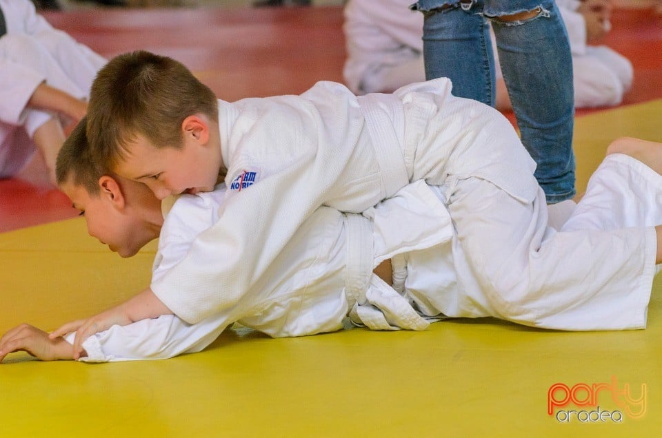 Micii judoka la Examen de Mon, Liceul cu Program Sportiv