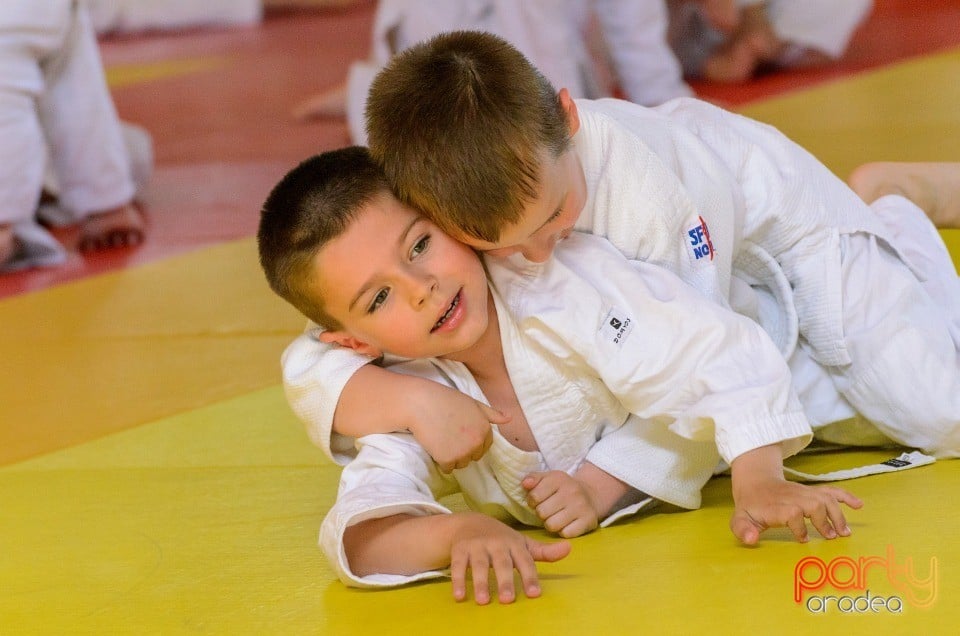 Micii judoka la Examen de Mon, Liceul cu Program Sportiv