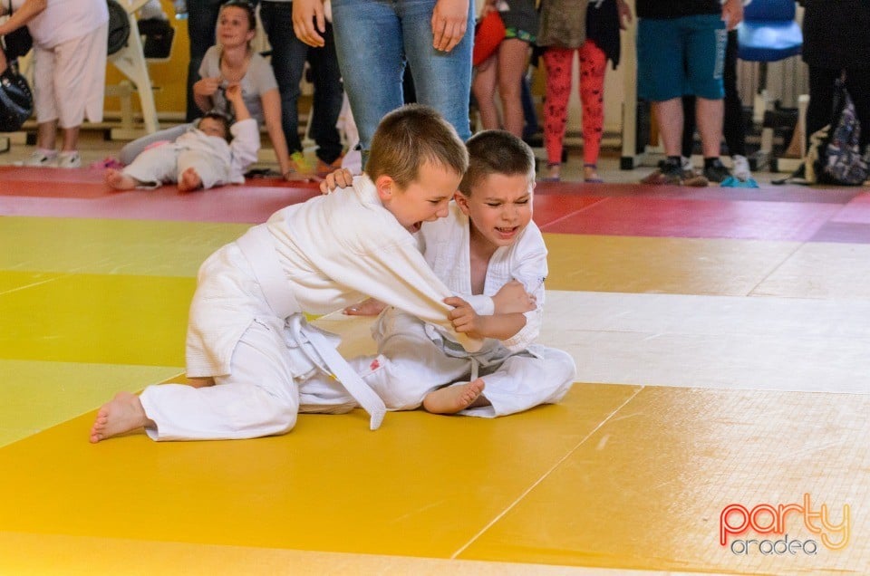 Micii judoka la Examen de Mon, Liceul cu Program Sportiv