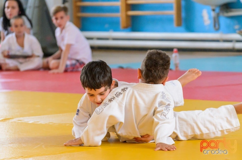 Micii judoka la Examen de Mon, Liceul cu Program Sportiv