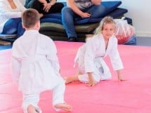 Micii judoka la Examen de Mon