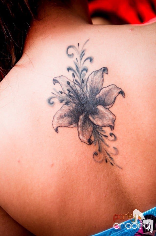 Muzica live Alex de la Oradea, 