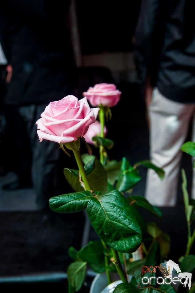 Muzica Live Blaga de la Oradea, 