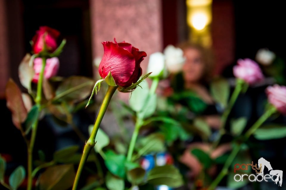 Muzica Live Blaga de la Oradea, 