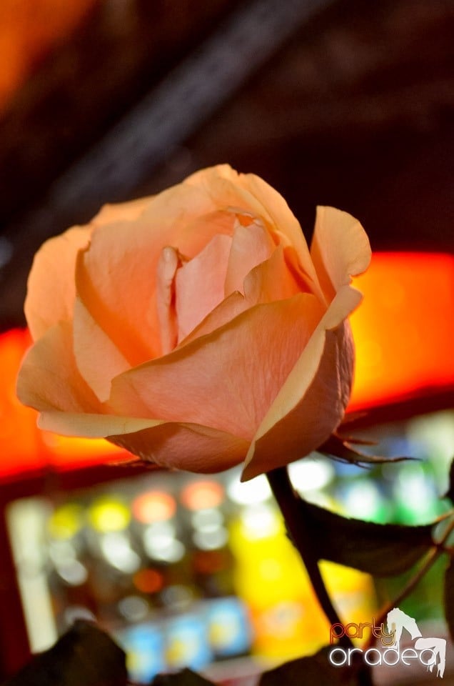 NMD Student's Party în Club Escape, 