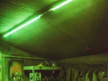 Panic Room - galerie de local
