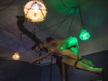 Panic Room - galerie de local