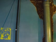 Panic Room - galerie de local
