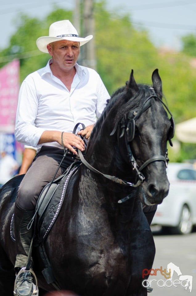 Parada la Campionatul European de Rodeo, Băile Felix