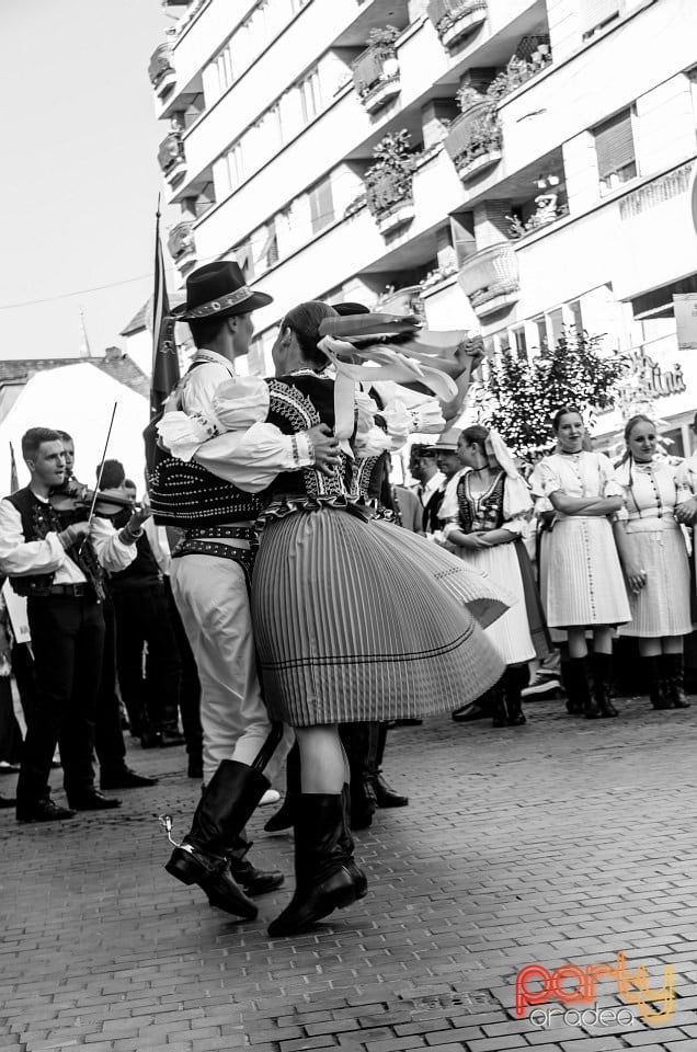 Paradă populară, Oradea