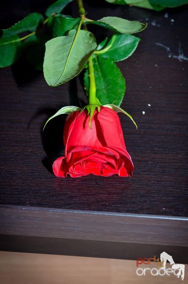 Petrecere aniversară în Club Life, 