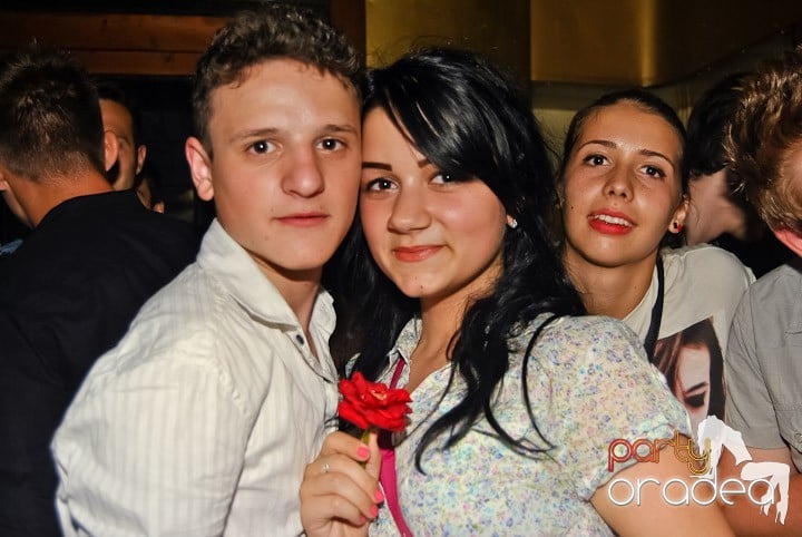 Petrecerea Kamikaze continuă, 