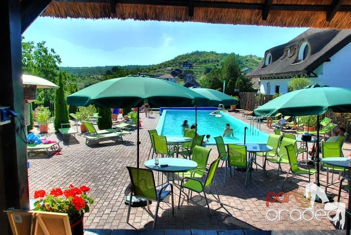 Pregătire pentru Karaoke Pool Party, Hanul Pescarilor