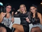 "Prestige" Grand Opening cu Paraziţii