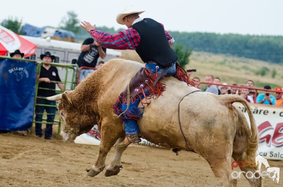 Campionat European de Rodeo, Băile Felix