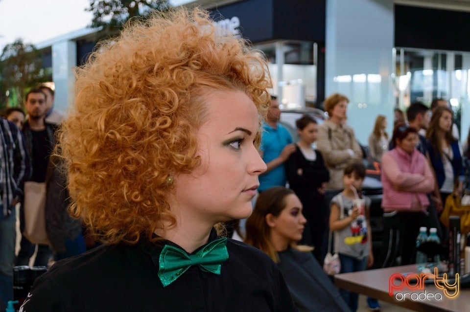 Salon Provocateur, Salon Provocateur