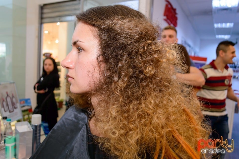 Salon Provocateur, Salon Provocateur