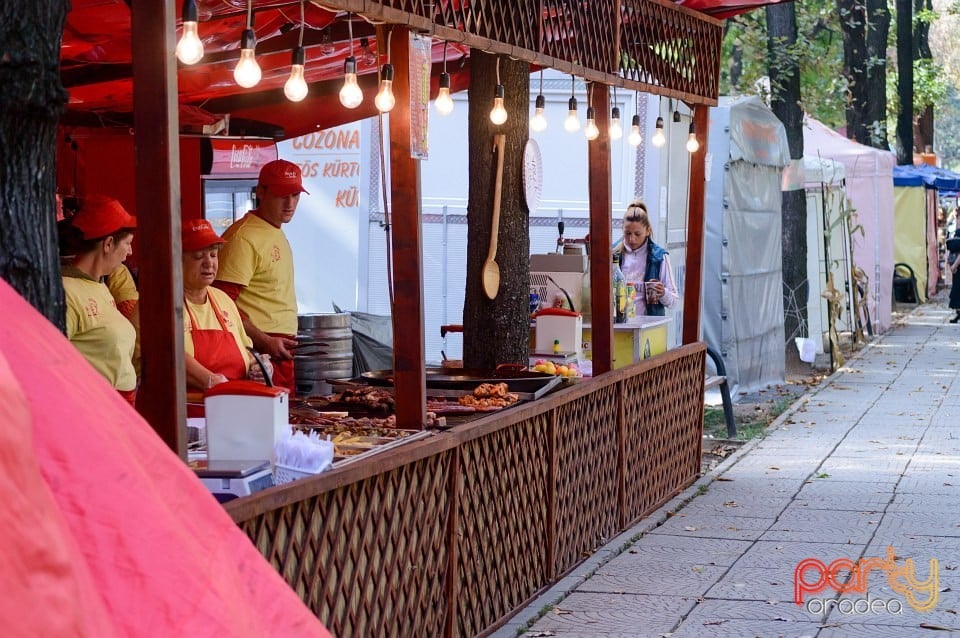 Spectacol de tradiţii folclorice, Oradea