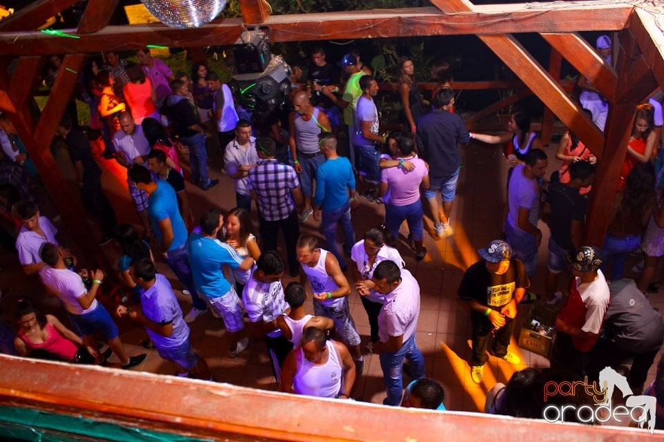 Student Party în Disco Faház, 