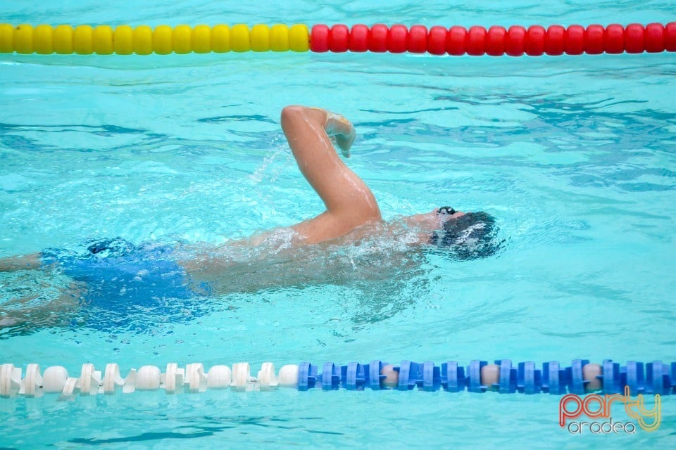 Swimathon, Bazinul Olimpic Ioan Alexandrescu