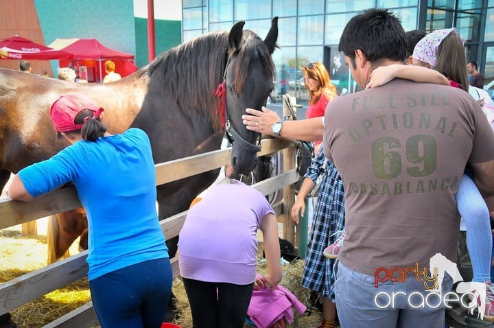 Târg de şcoală şi festival de şah, Era Shopping Park