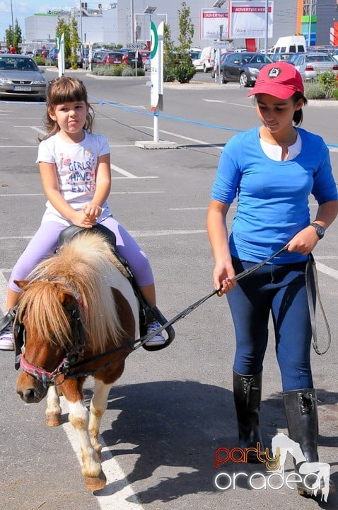 Târg de şcoală şi festival de şah, Era Shopping Park