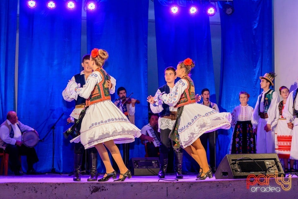 Târgul Pălincarilor, Oradea