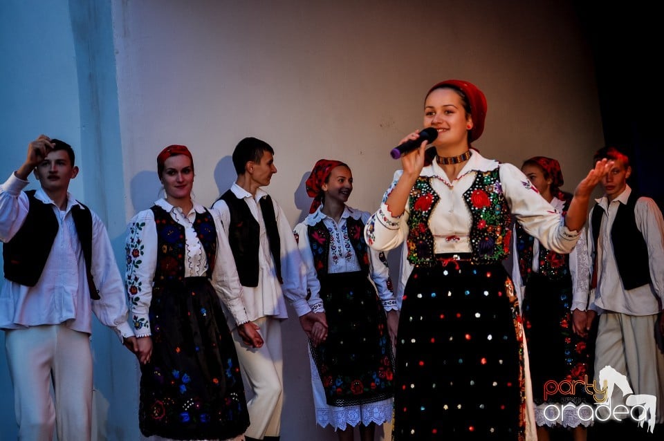 Targul Palincarilor, Oradea