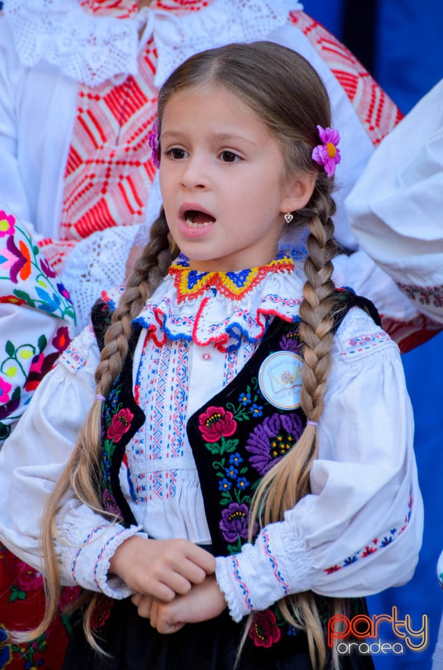 Târgul Pălincarilor, Oradea