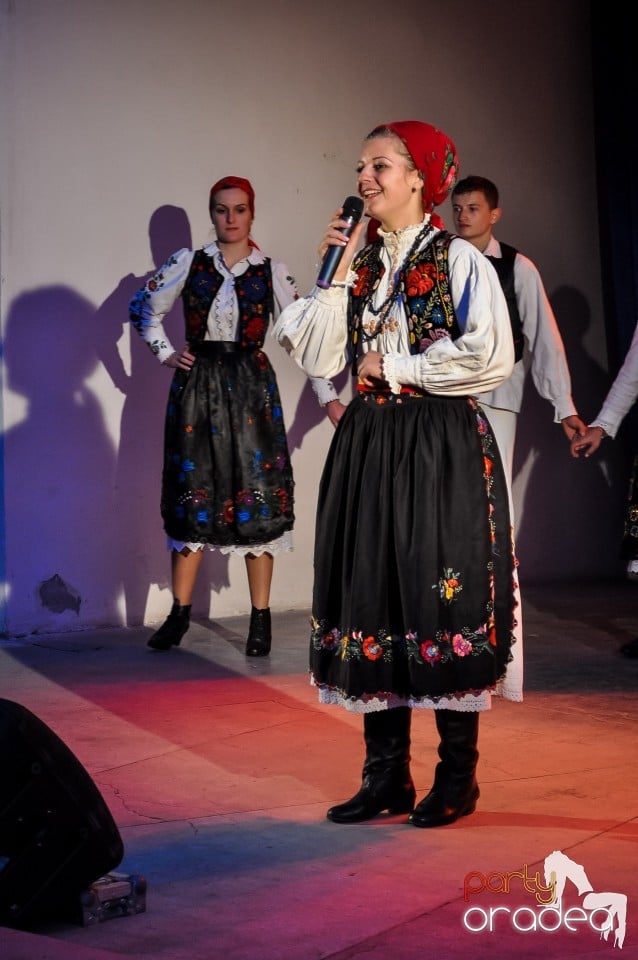 Targul Palincarilor, Oradea