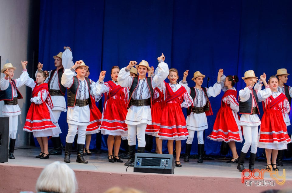 Târgul Pălincarilor, Oradea