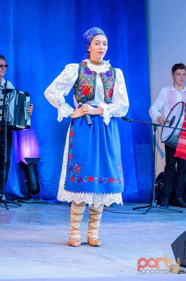 Târgul Pălincarilor, Oradea