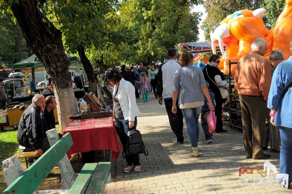 Targul Palincarilor, Oradea