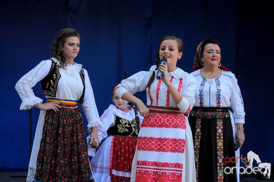 Targul Palincarilor, Oradea