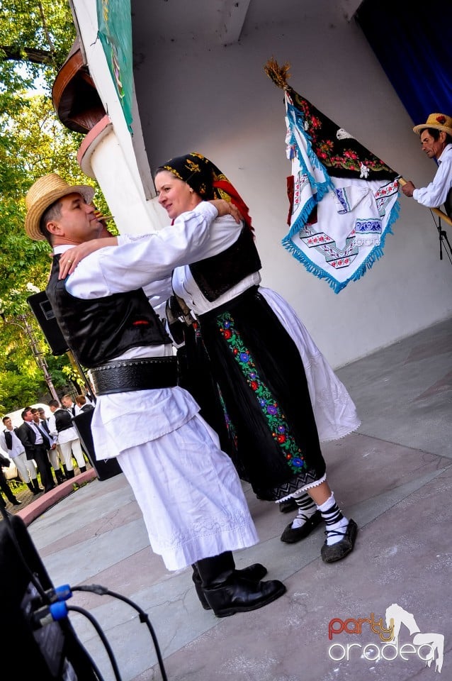 Targul Palincarilor, Oradea