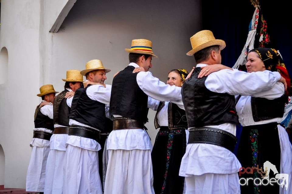 Targul Palincarilor, Oradea