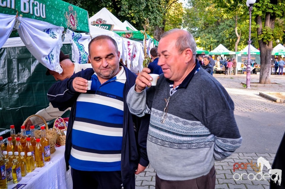 Targul Palincarilor, Oradea