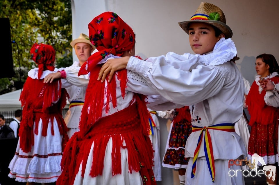 Targul Palincarilor, Oradea