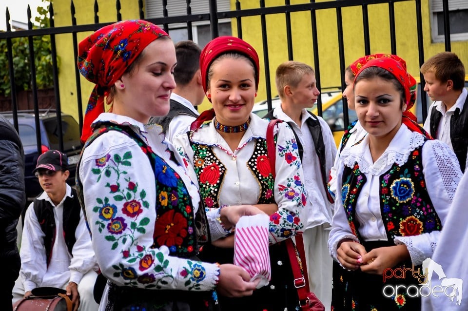 Targul Palincarilor, Oradea
