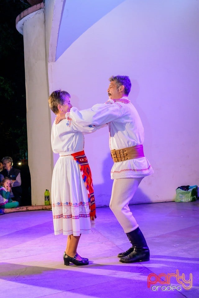Târgul Pălincarilor, Oradea