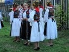 Targul Palincarilor