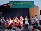 Targul Palincarilor