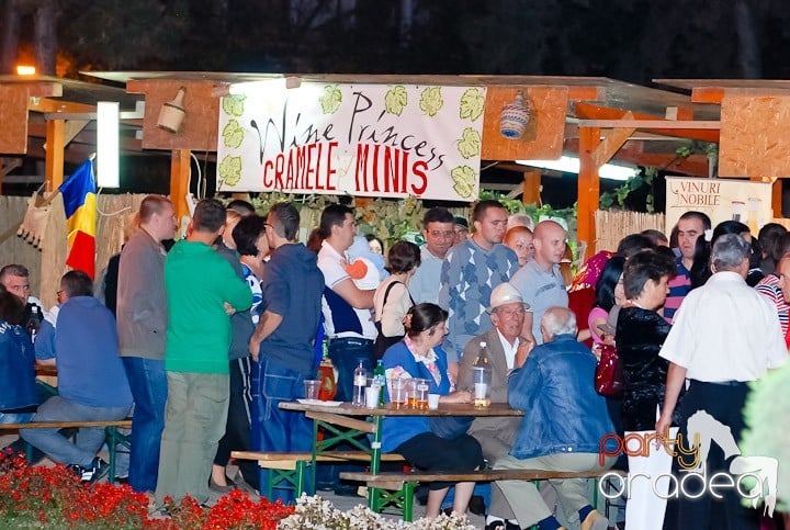 Târgul vinarilor şi pălincarilor - ziua 3,